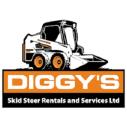 Diggy's Skid Steer Rentals and Services Ltd. logo